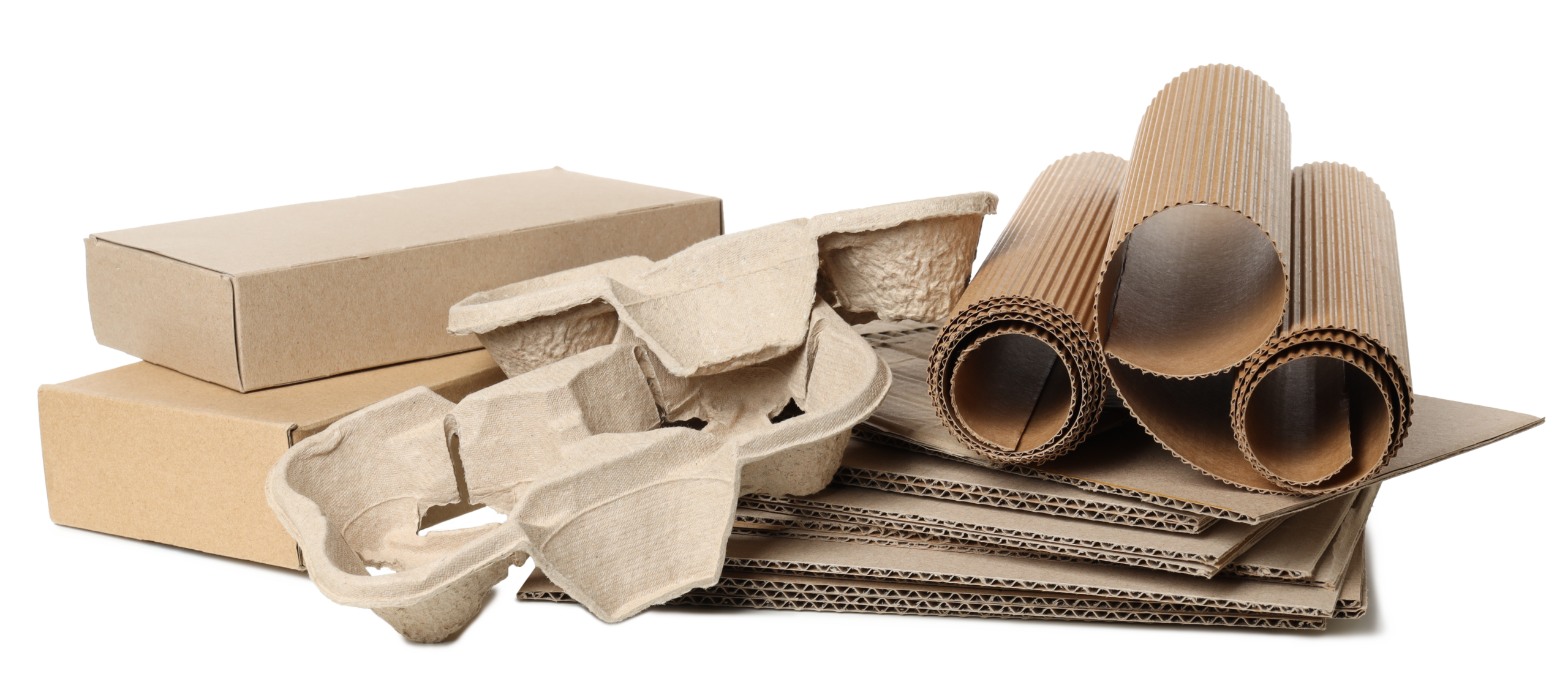 -Composting-Cardboard-Isolated-AdobeStock_757806890