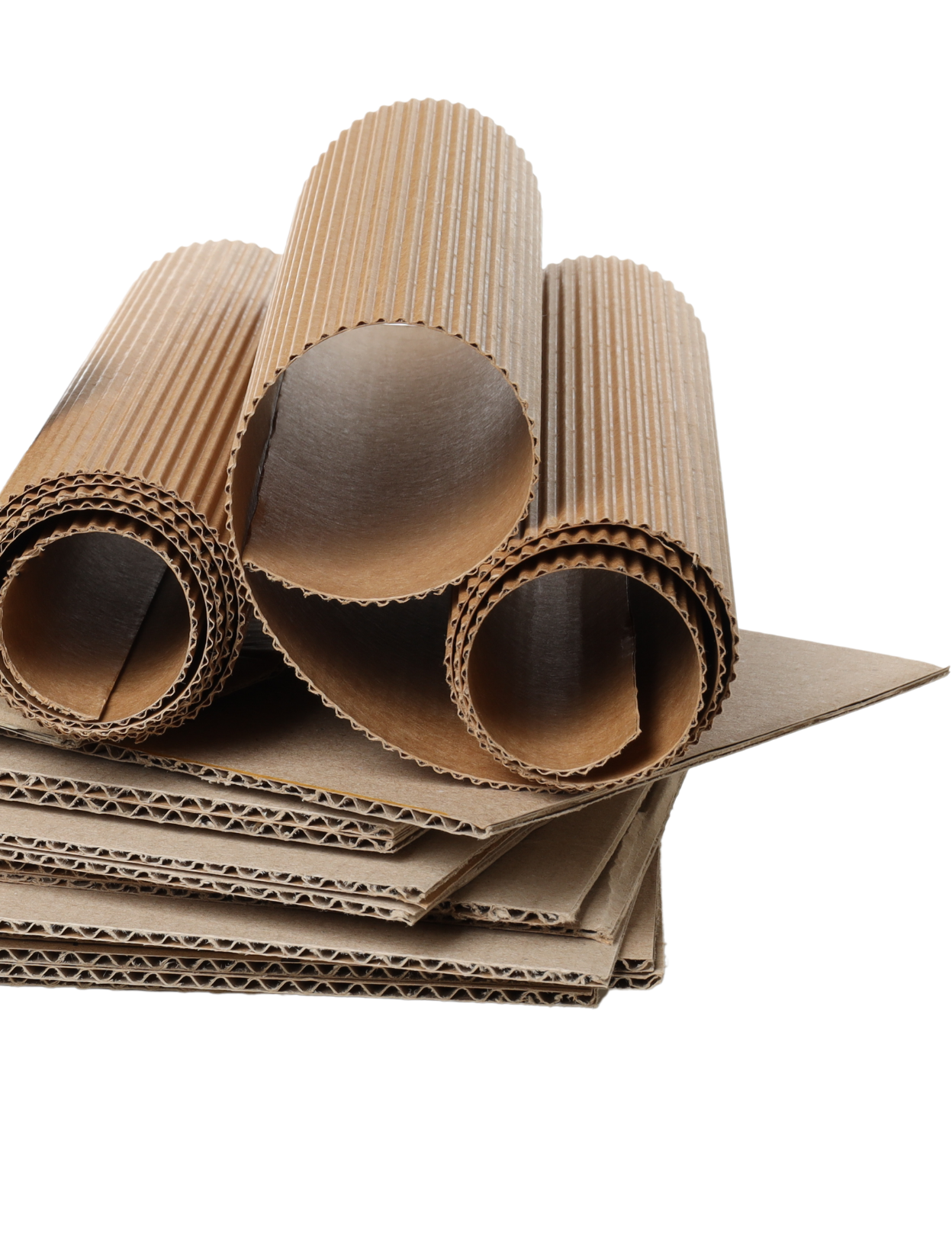 cardboard