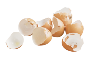 Brown broken, empty, clean egg shells
